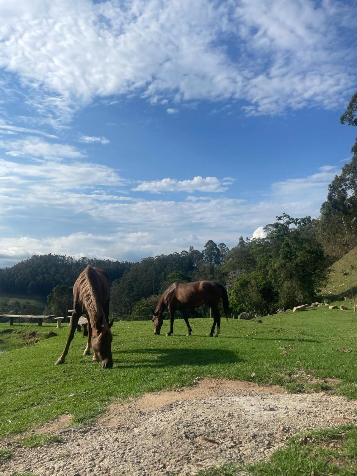 Casa de Campo Sonho Meu *